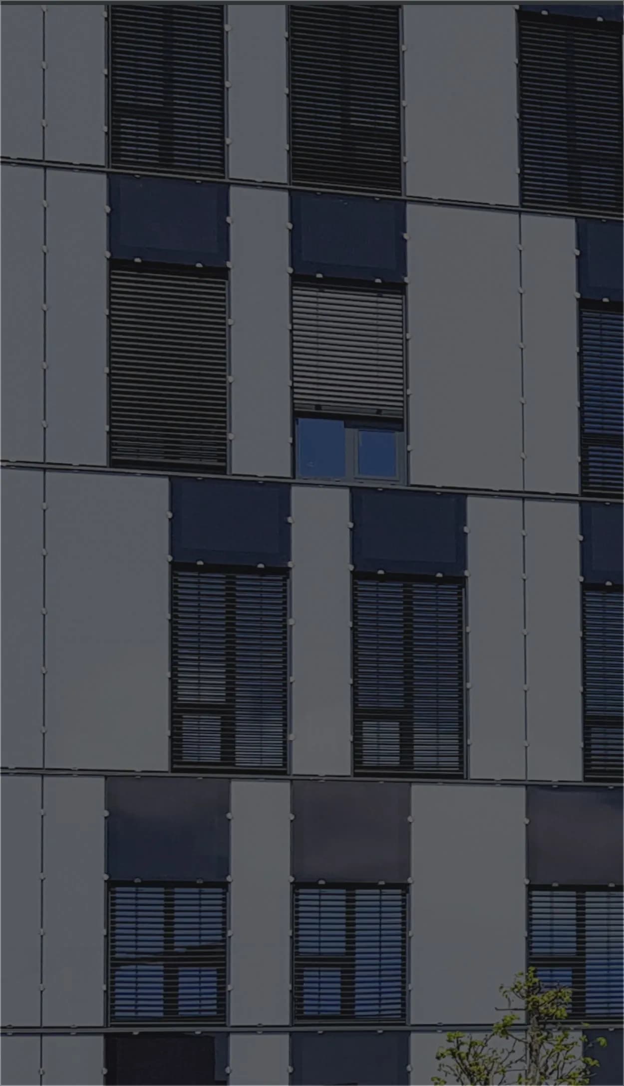 Close-up of a modern dark-clad building facade with grid panels, bronze-framed narrow windows, and a vertical light-green accent panel.