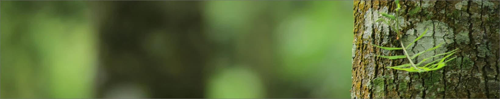 product category banner image