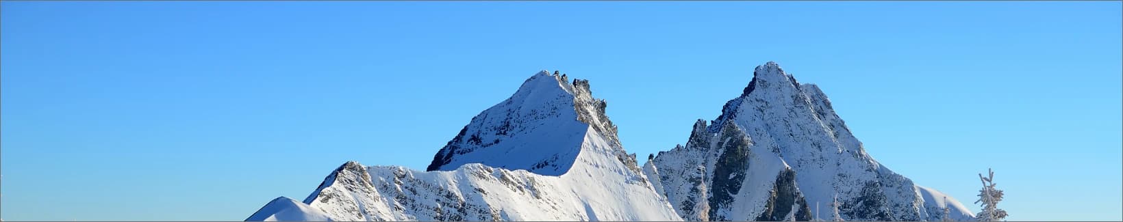 product category banner image