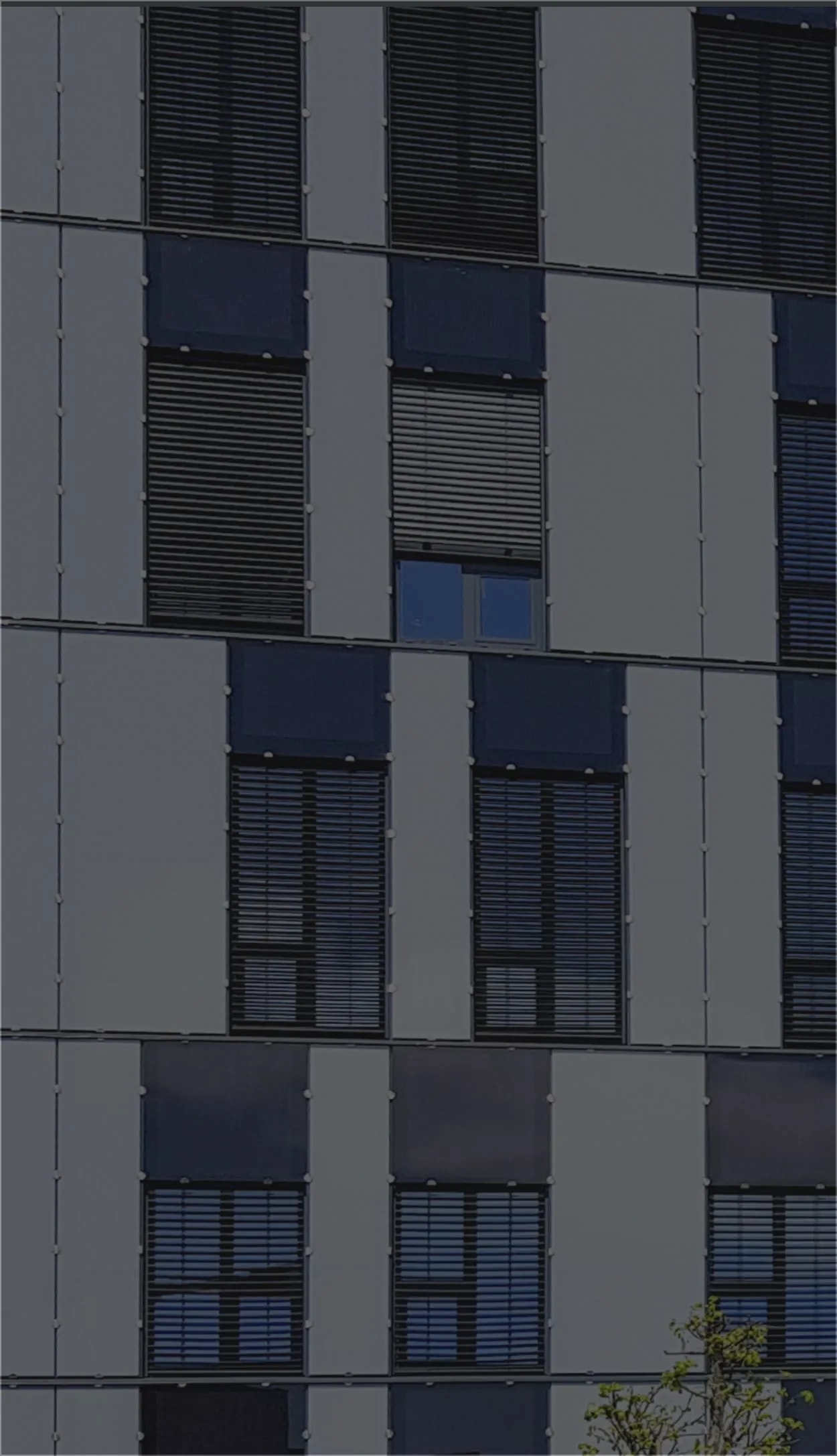 Close-up of a modern dark-clad building facade with grid panels, bronze-framed narrow windows, and a vertical light-green accent panel.