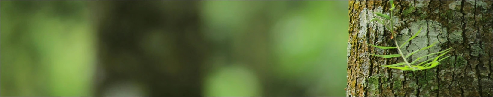 product category banner image