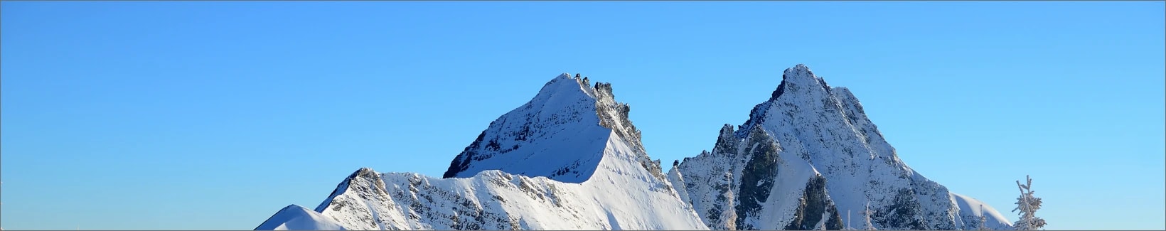 product category banner image